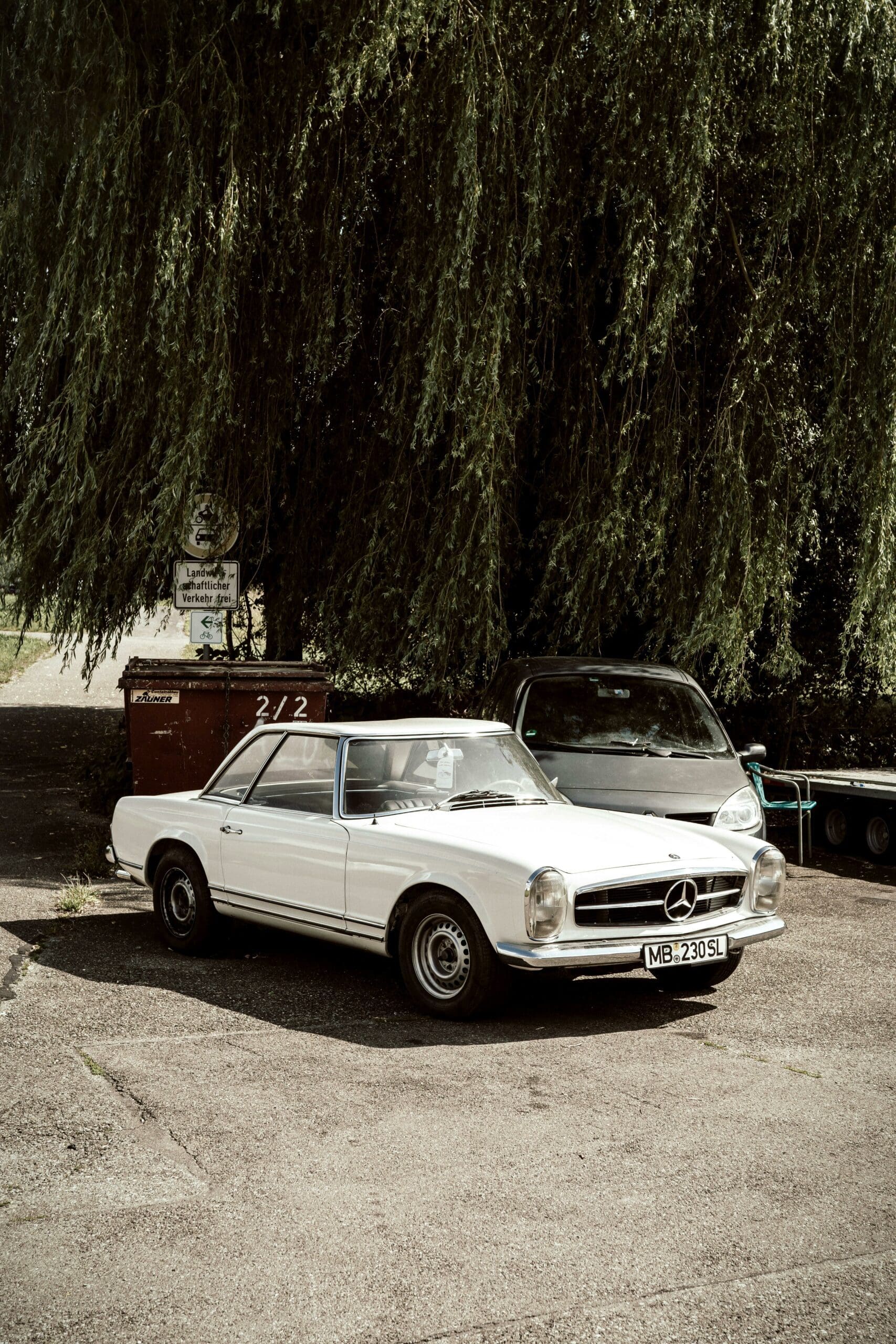 A white vintage Mercedes-Benz 230 SL parked on asphalt under a weeping willow tree, with a dark car behind it.