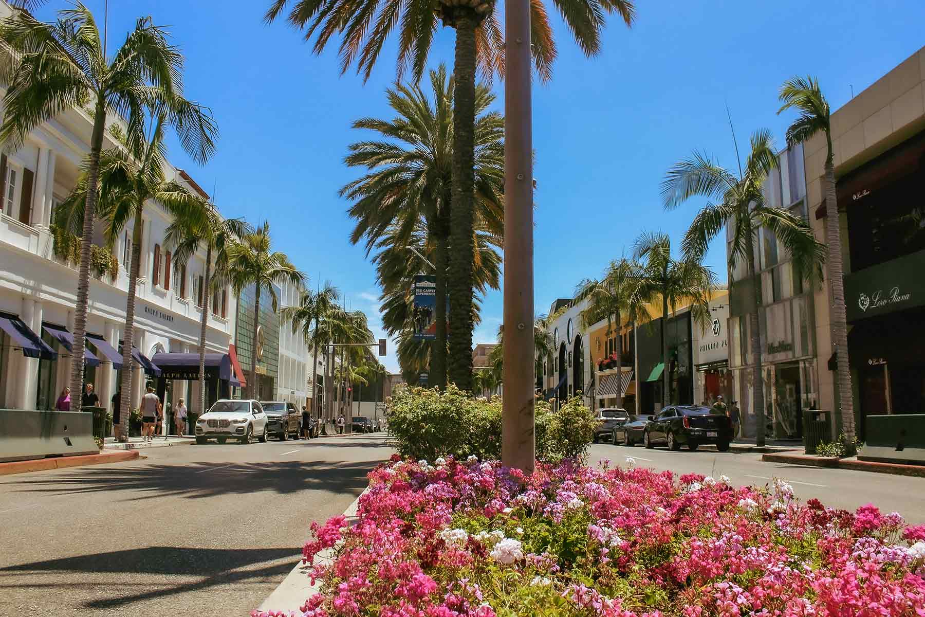 Sunlit shopping street lined with palm trees, white storefronts, parked cars, and a bed of pink flowers in the foreground.